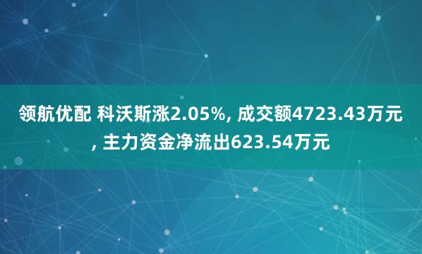 领航优配 科沃斯涨2.05%, 成交额4723.43万元, 主力资金净流出623.54万元