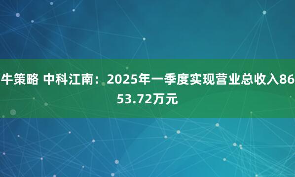 牛策略 中科江南：2025年一季度实现营业总收入8653.72万元